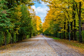 Parco Ducale in autunno, Parma, Italia