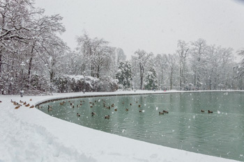 Un fenómeno raro - la nieve en el Parque Ducal, Parma, Italia