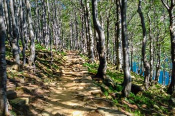 The trail near Lake Santo, Parma, Italy
